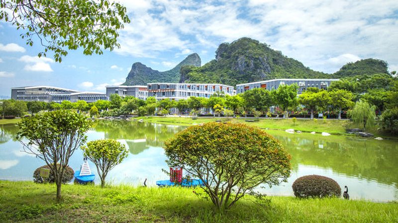 芯片封装类型定制流程：揭秘定制化背后的技术奥秘