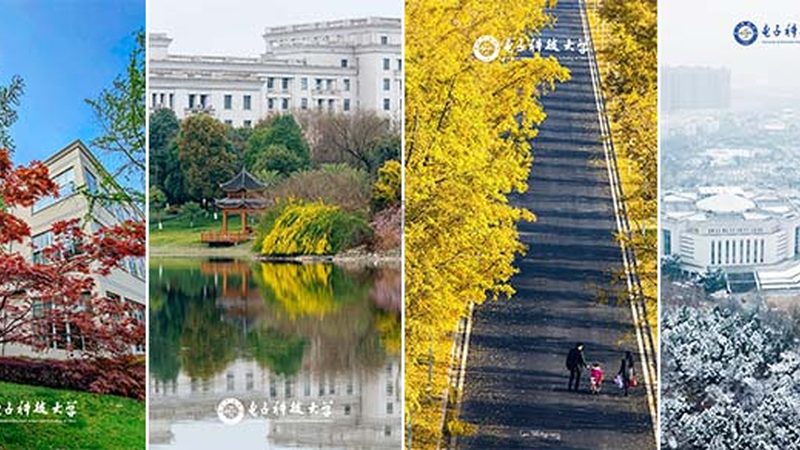 电子元件供应商资质要求：揭秘企业选择背后的逻辑