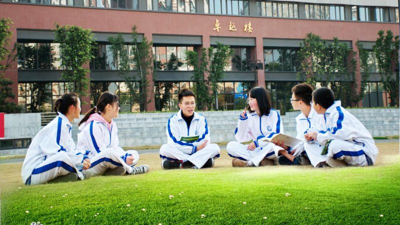 电阻与电容：揭秘电子电路中的关键角色